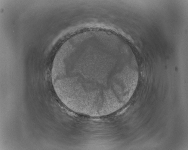 X0000068281495200605191840