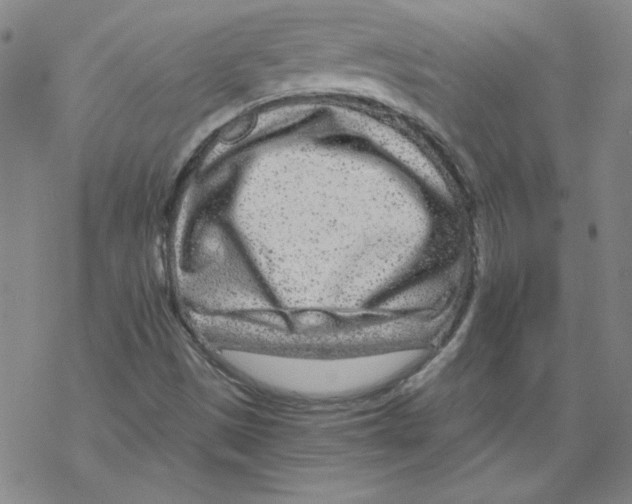 X0000068281497200605191840