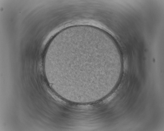 X0000068281498200605191840