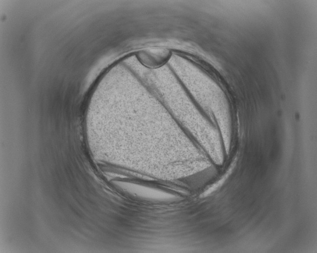 X0000068281501200605191840