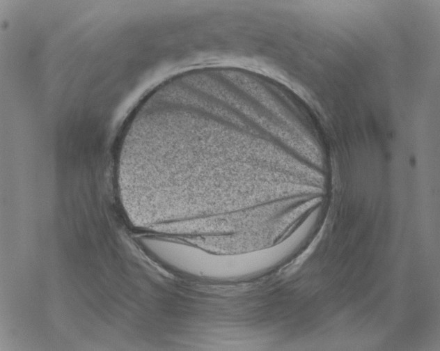 X0000068281502200605191840