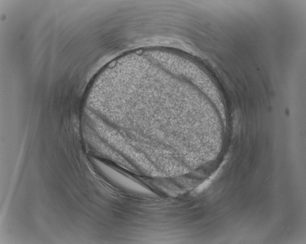 X0000068281505200605191840