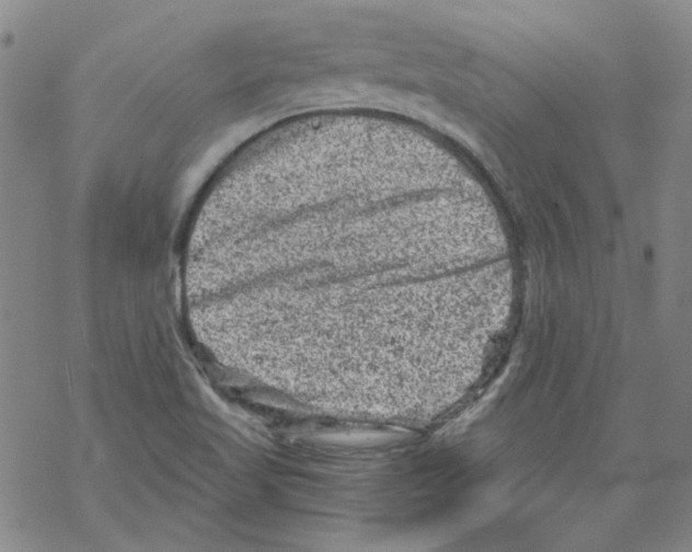 X0000068281509200605191840