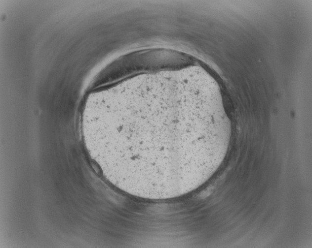 X0000068281510200605191840