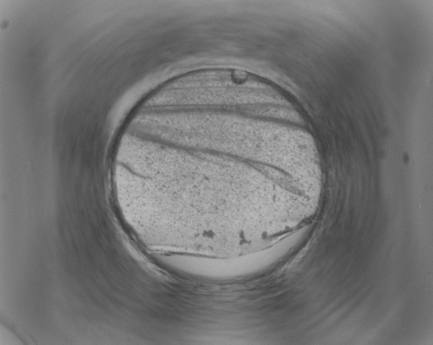 X0000068281511200605191840