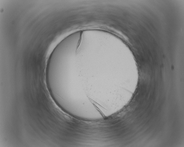 X0000068281512200605191840