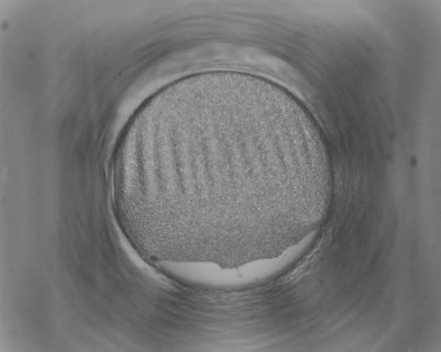 X0000068281515200605191840