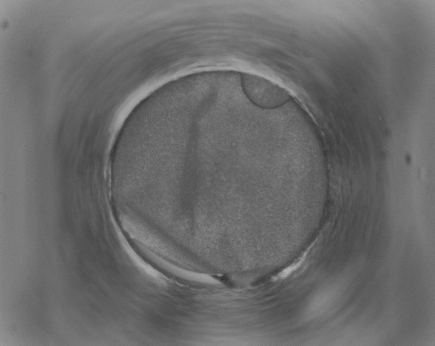 X0000068281519200605191840