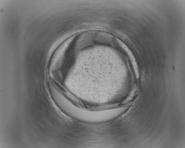 X0000068281520200605191840