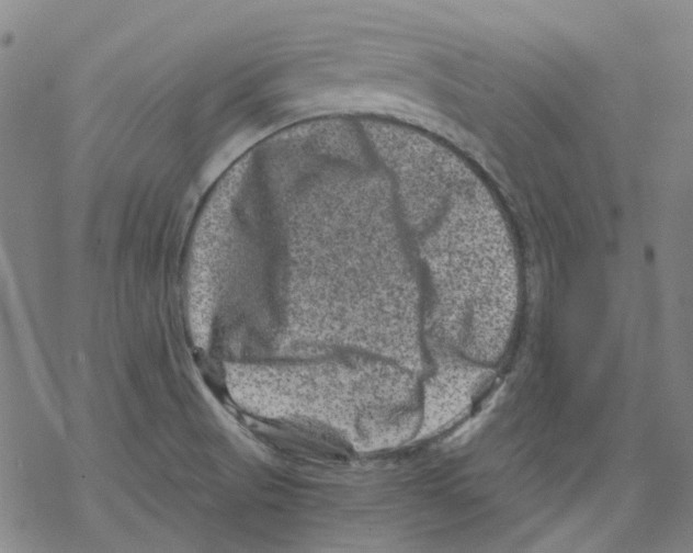 X0000068281521200605191840