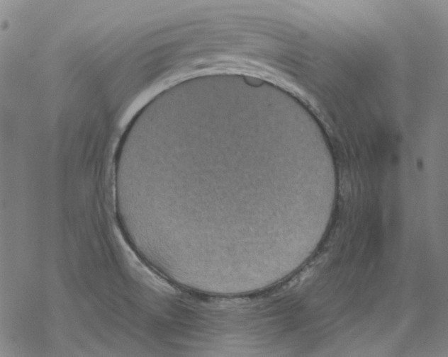 X0000068281522200605191840