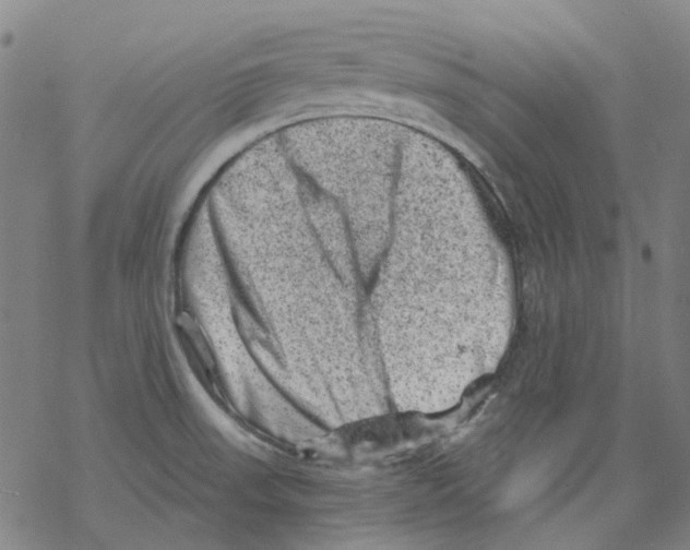 X0000068281523200605191841