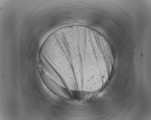 X0000068281524200605191841