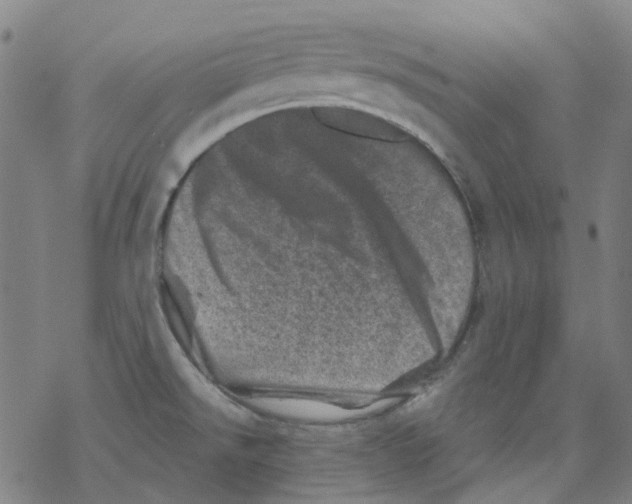 X0000068281526200605191841