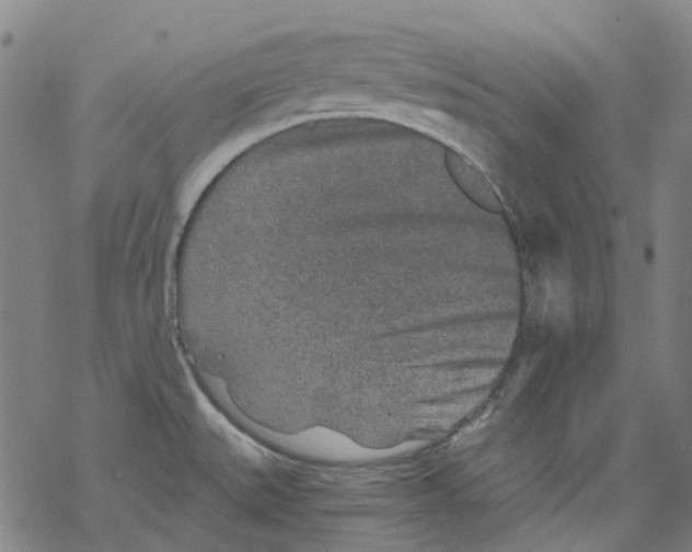 X0000068281527200605191841