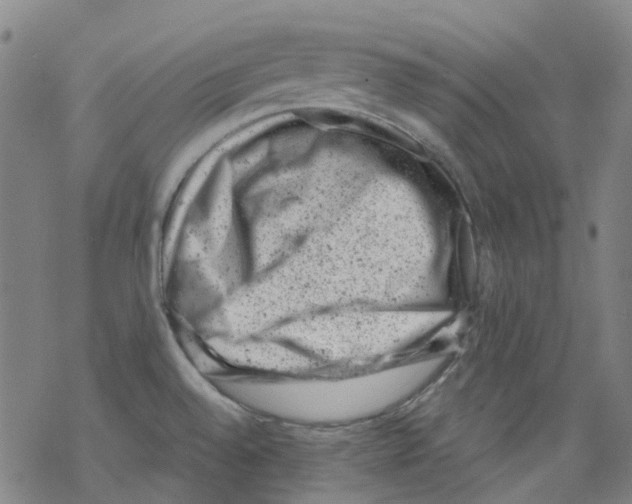 X0000068281528200605191841