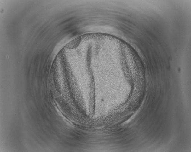 X0000068281529200605191841