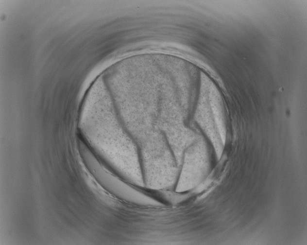 X0000068281530200605191841