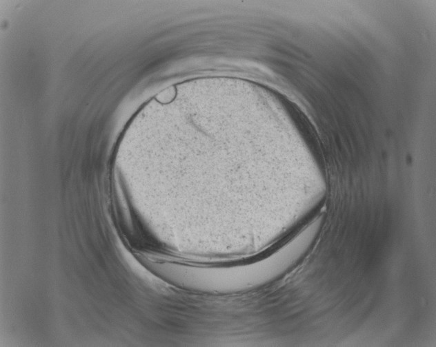 X0000068281531200605191841