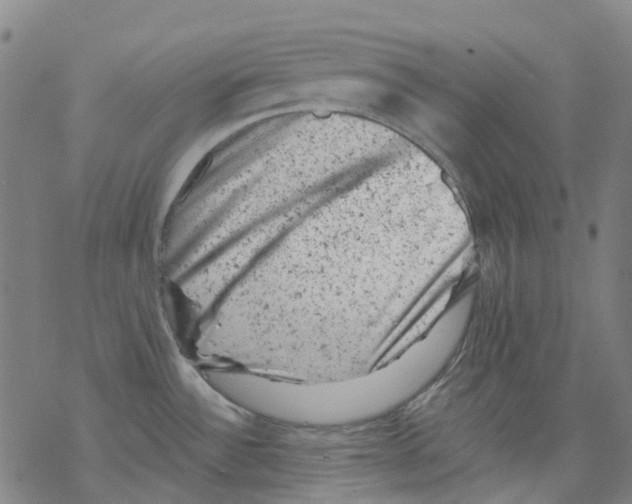 X0000068281532200605191841