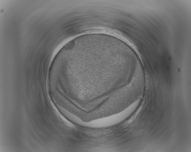 X0000068281533200605191841