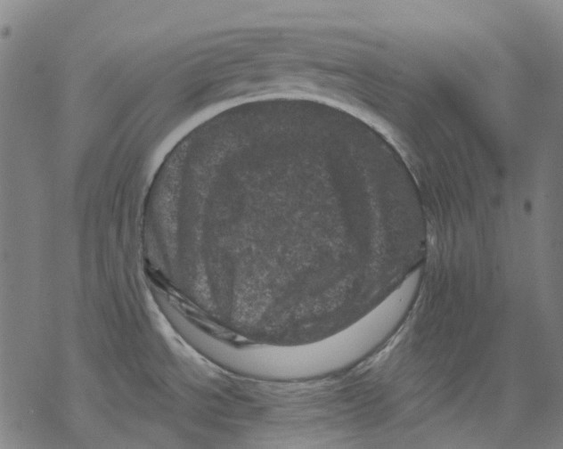 X0000068281534200605191841