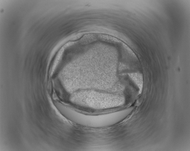 X0000068281536200605191841