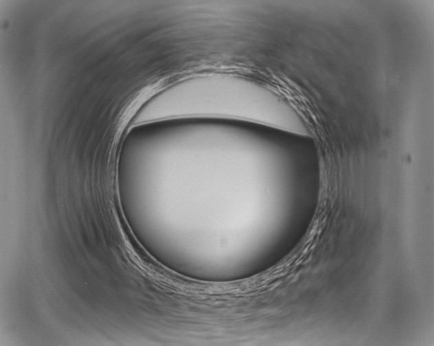 X0000068290003200604210953