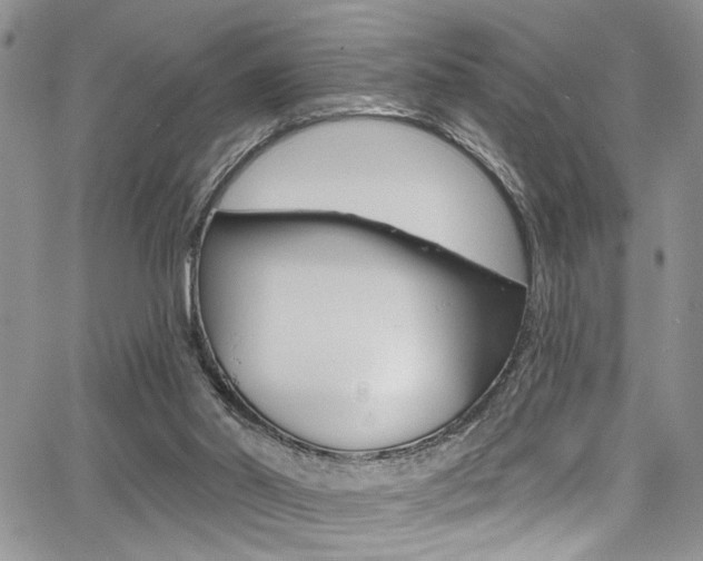 X0000068290014200604210953