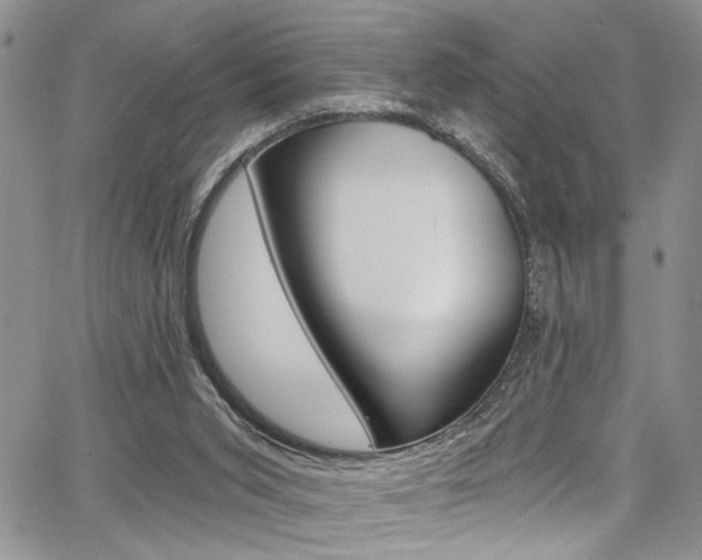 X0000068290015200604210953