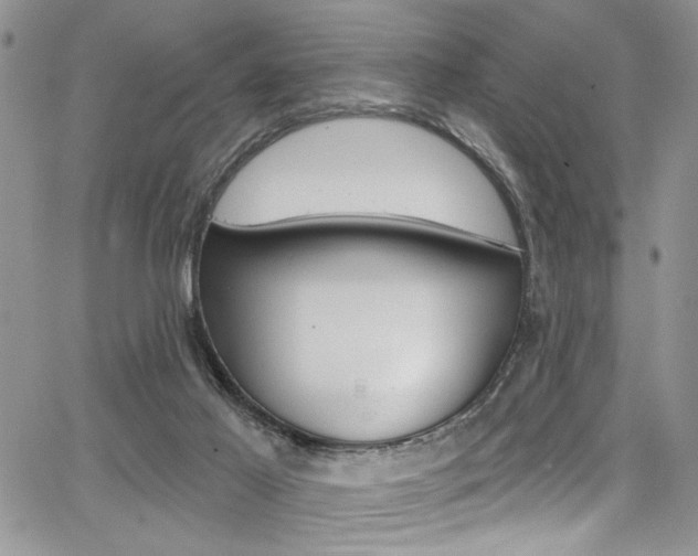 X0000068290021200604210953