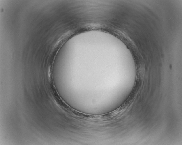 X0000068290024200604210953