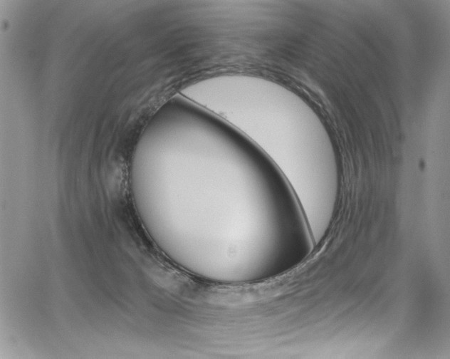 X0000068290029200604210952