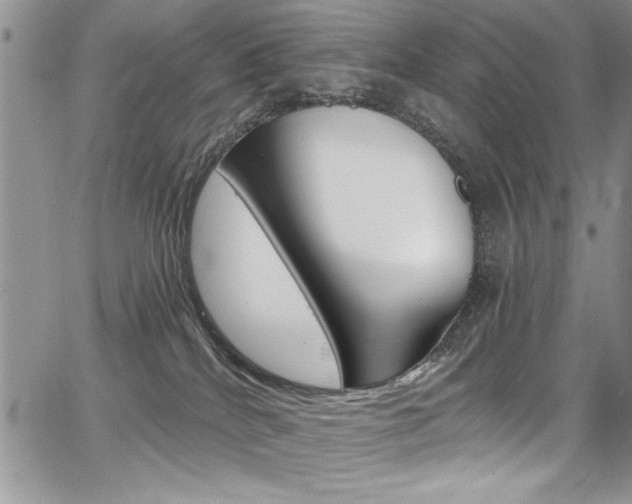 X0000068290040200604210952