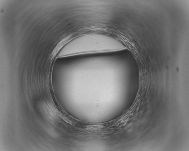 X0000068290051200604210951