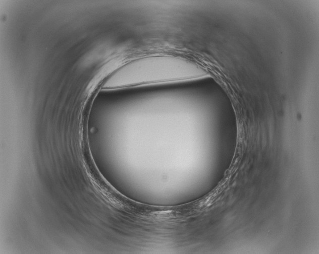 X0000068290054200604210951