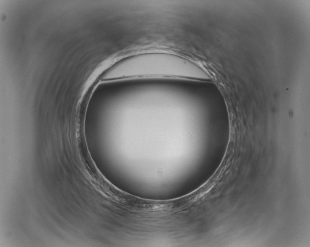 X0000068290056200604210951