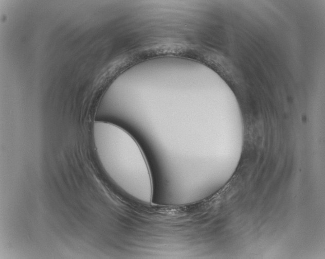 X0000068290070200604210952