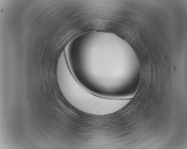 X0000068290092200604210952