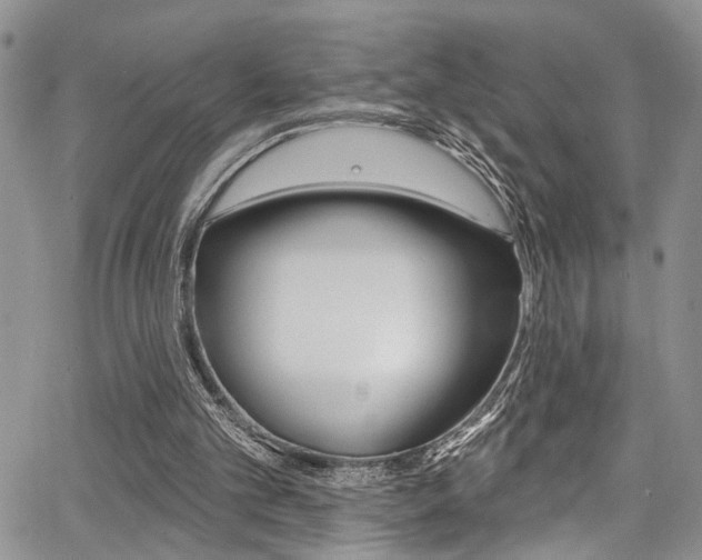 X0000068290101200604210951