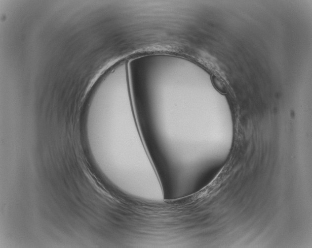 X0000068290108200604210951