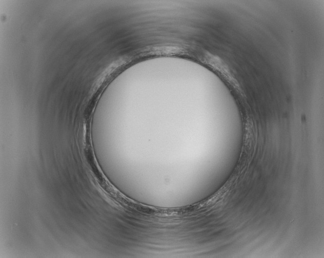 X0000068290110200604210951