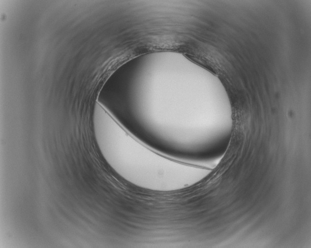 X0000068290143200604210951