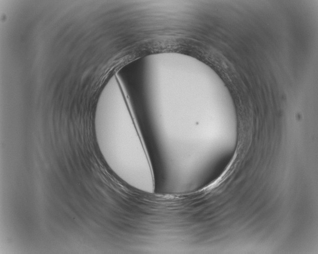 X0000068290144200604210951