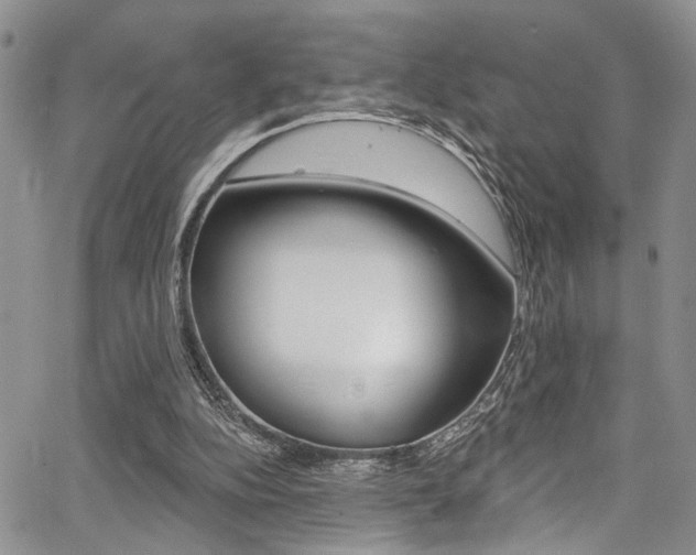 X0000068290152200604210950