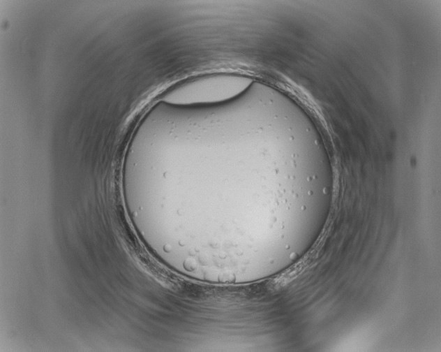 X0000068290155200604210950