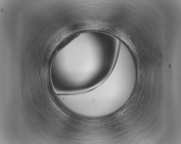 X0000068290156200604210950