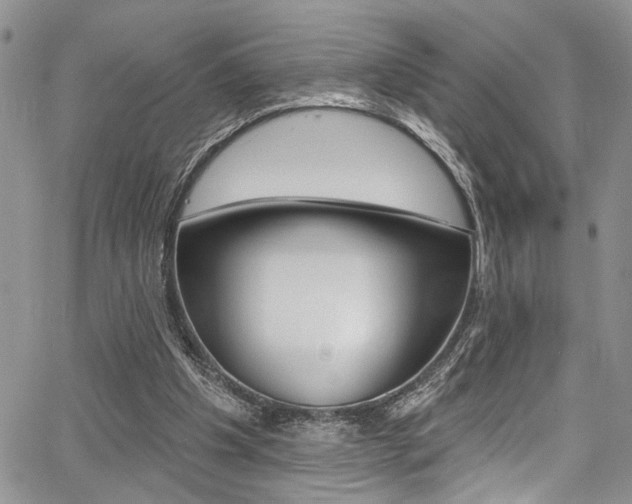 X0000068290201200604210950