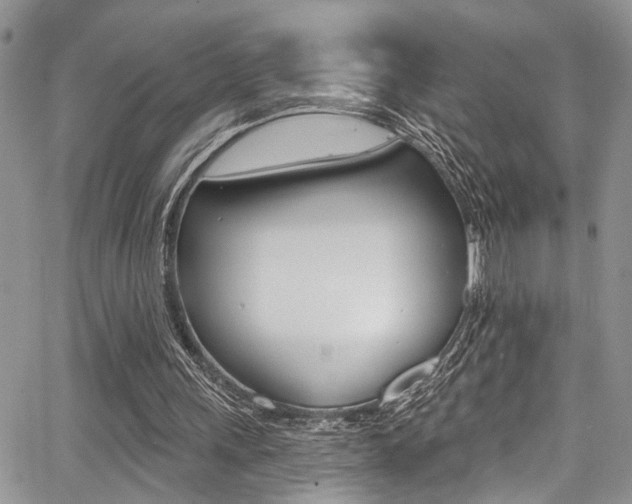 X0000068290243200604210948
