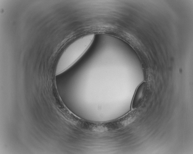 X0000068290258200604210948